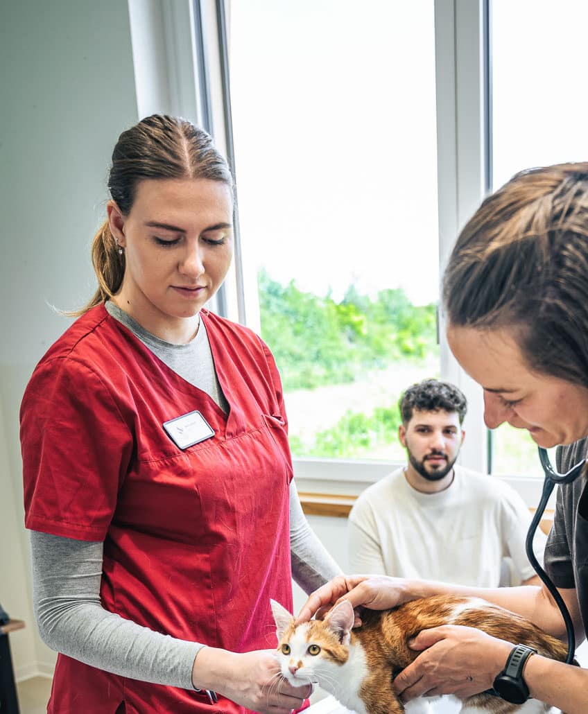 svenja-bont-tiermedizinische-praxisassistentin-bei-wintivets